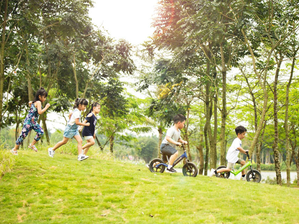 Chơi gì ở Ecopark
